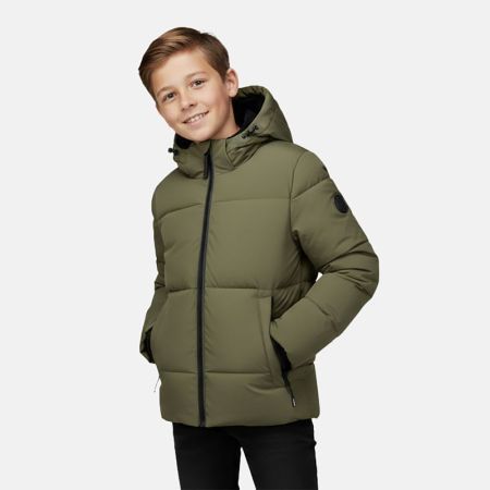 18 Olive