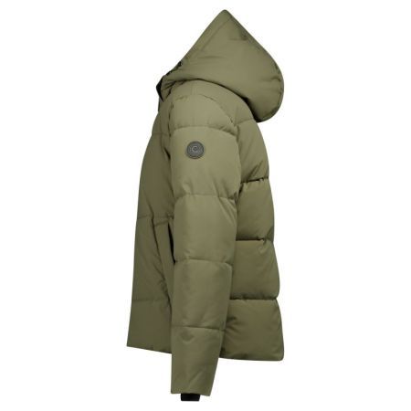 18 Olive