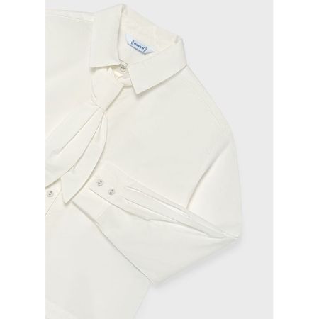  84 Cream