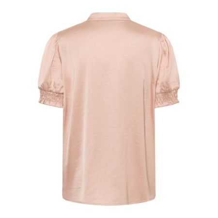 141506 Ash Rose