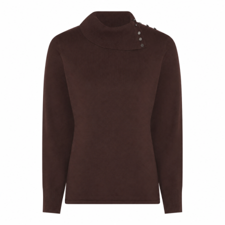  4563 Brown