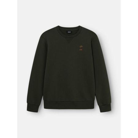  526 EVERGREEN