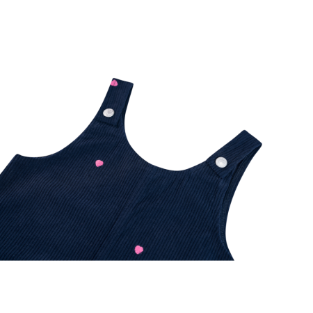 N NAVY