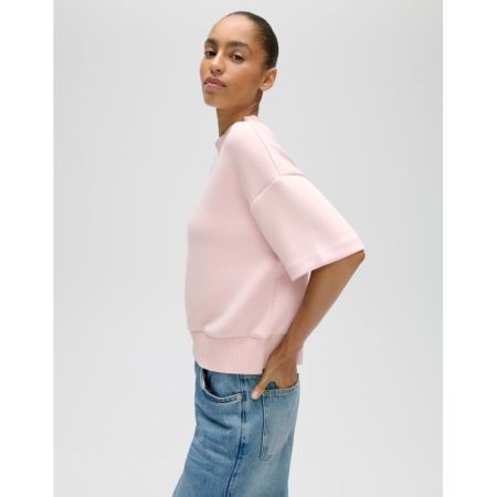 40043 rose tint