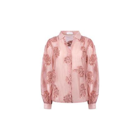 336 Rose