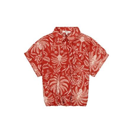  2670-red ochre