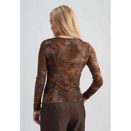 5050P Toffee Pr