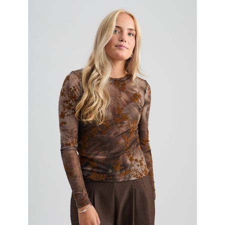 5050P Toffee Pr