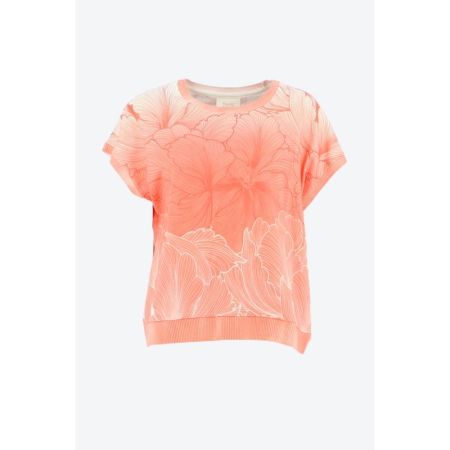 54 corail rose