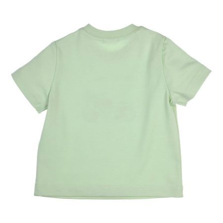  GN Green