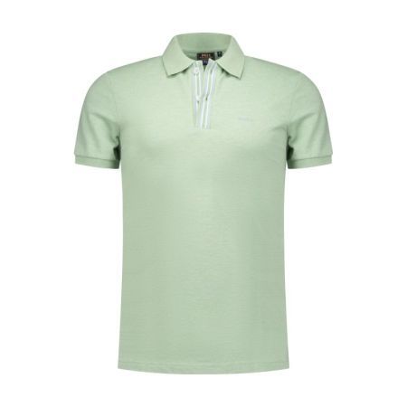  2778 PALM GREEN